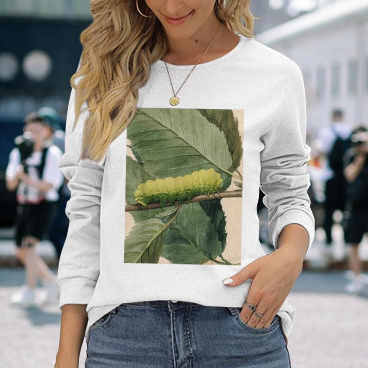 月の毛虫、ビンテージ昆虫画、ルナの幼虫 M 長袖Tシャツ 彼女への贈り物