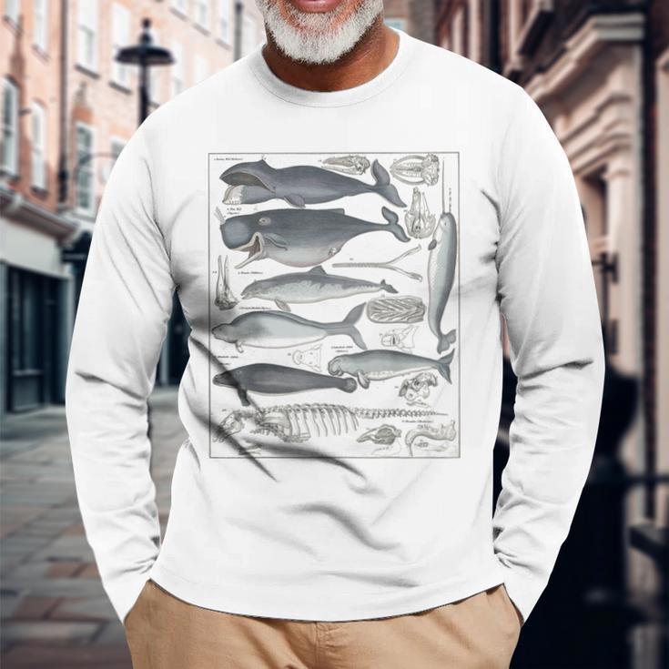 ヴィンテージ クジラ イラスト 生物学 科学 海 長袖Tシャツ 高齢者への贈り物