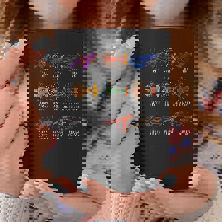 異なるタイプのロブスター種チャート海洋生物学 コーヒーマグ 面白い贈り物