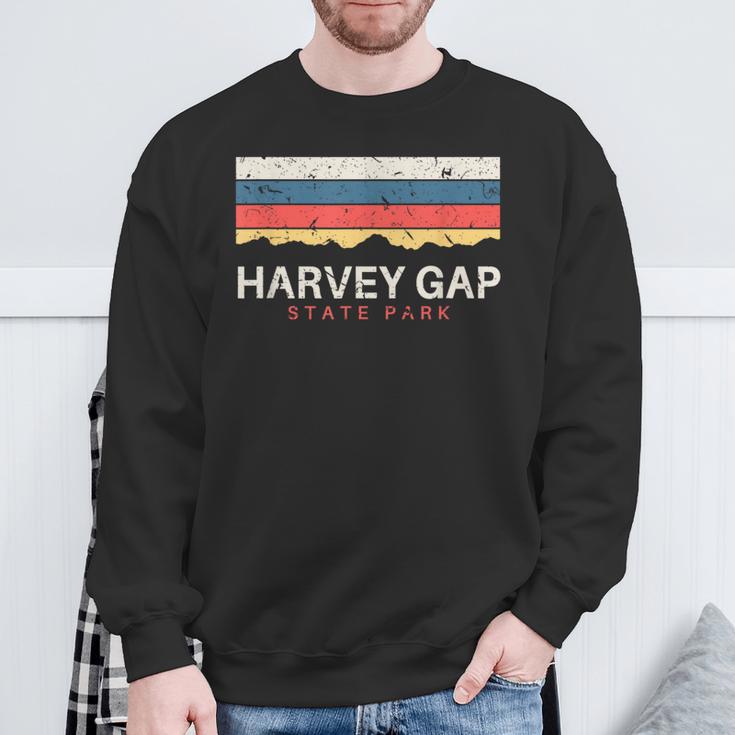 Harvey Gaptate Park コロラドレトロ Co スウェットシャツ 高齢者への贈り物