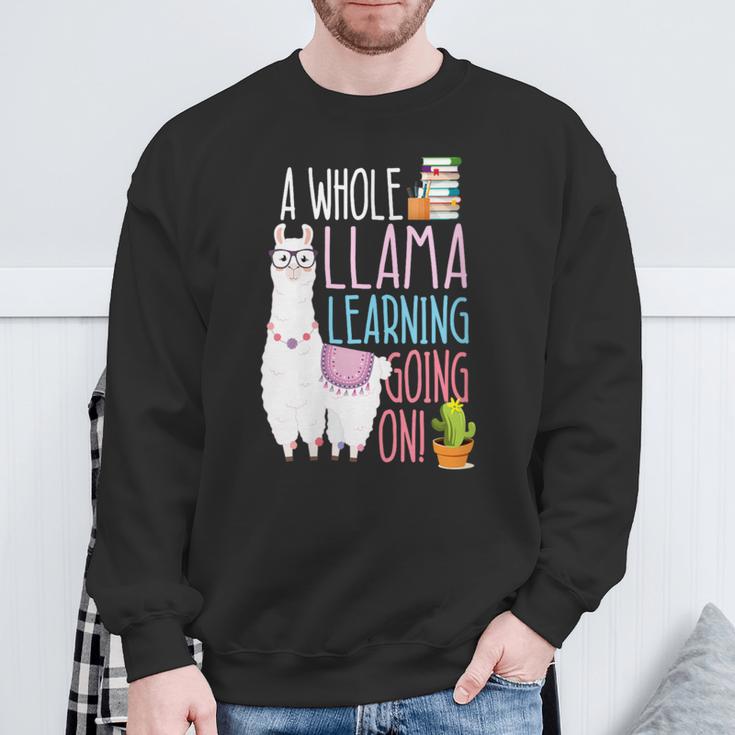 A Whole Llama Learning Going On Book Reading School Llama Sweatshirt Gifts for Old Men