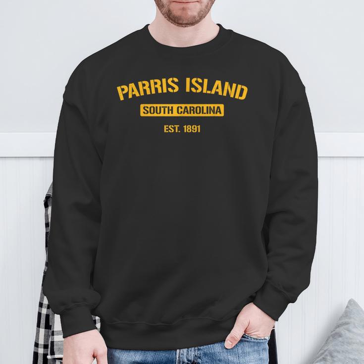 パリスアイランドシャツ ビンテージ サウスカロライナtシャツ スウェットシャツ 高齢者への贈り物