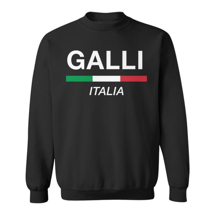 Galli イタリア製 ファミリーネーム イタリア 国旗 長袖tシャツ スウェットシャツ