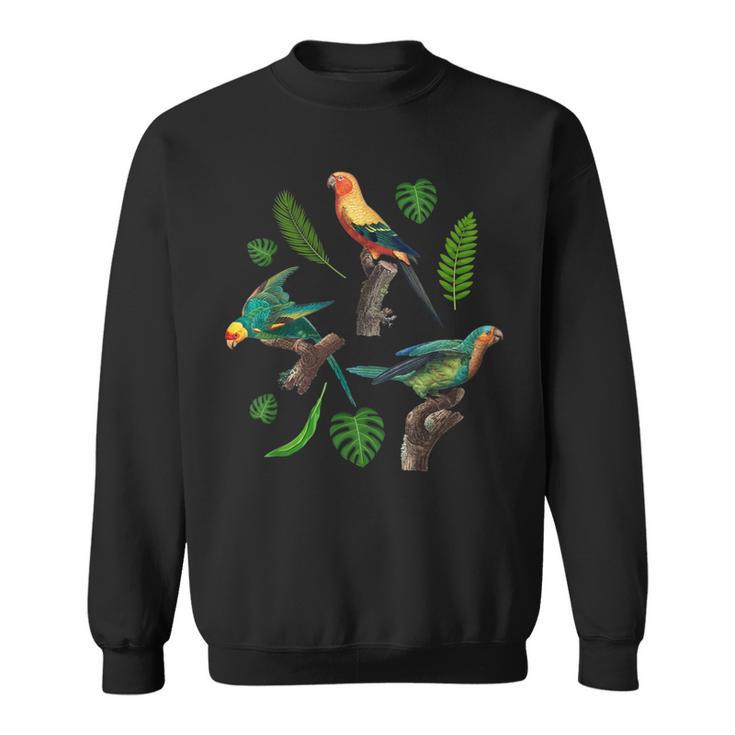 Nature Ornithologue Animal Oiseaux Amoureux De Perruche Sweater e