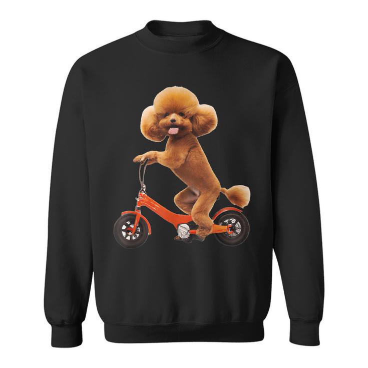 チャリで来た トイプードル 面白いtシャツ 犬 動物 メンズ グッズ かわいい おもしろ 面白い 服 ネタ スウェットシャツ