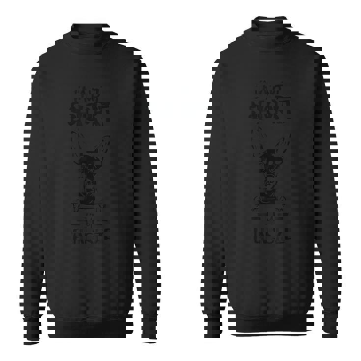 ミニピン、短くはない、楽しいサイズのミニチュアピンシャーのお父さん スウェットシャツ