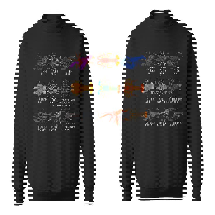 異なるタイプのロブスター種チャート海洋生物学 スウェットシャツ