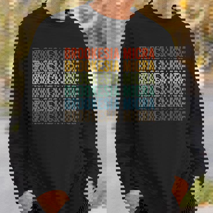 Brookesia マイクラレトロ スウェットシャツ 彼への贈り物