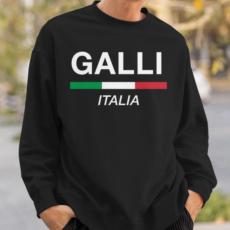 Galli イタリア製 ファミリーネーム イタリア 国旗 長袖tシャツ スウェットシャツ 彼への贈り物