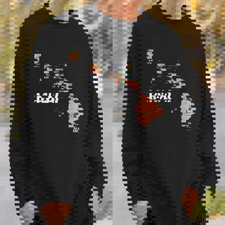 地図 ヴィンテージ お土産 ハワイ諸島 スウェットシャツ 彼への贈り物