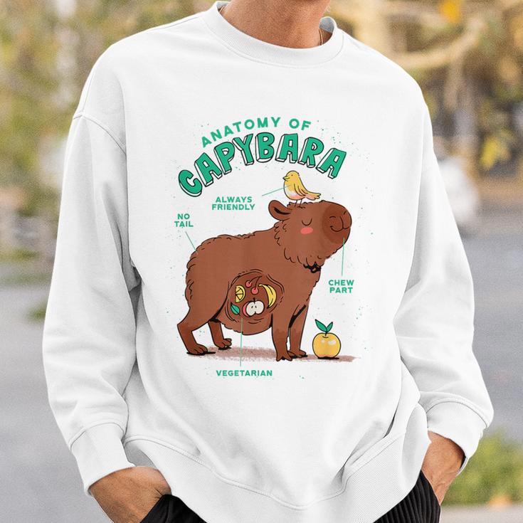 Natural Science Textbook Anatomy Water Pig Sweatshirt Gifts for Him