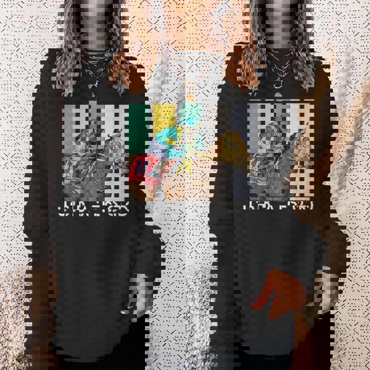 ウシュバテソロ 馬 競馬ファン デルマール サンタアニタ スウェットシャツ 彼女への贈り物