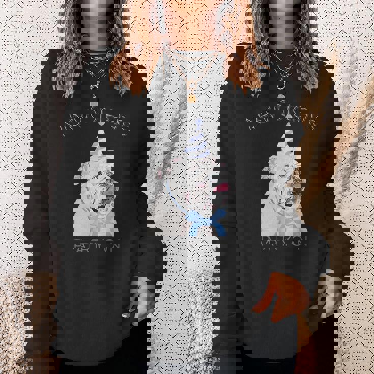 ニューオーリンズ 面白い犬の着用パーティーハット付き スウェットシャツ 彼女への贈り物