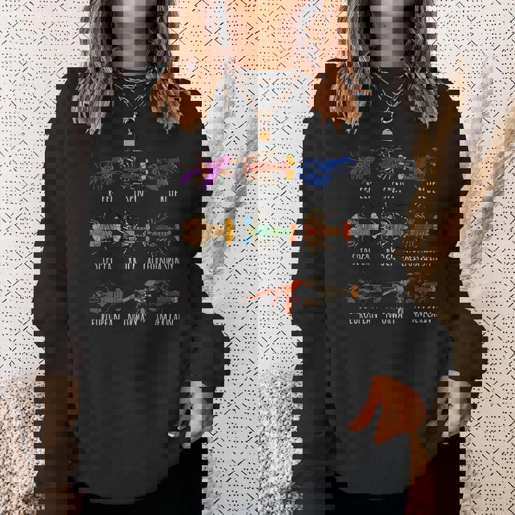 異なるタイプのロブスター種チャート海洋生物学 スウェットシャツ 彼女への贈り物