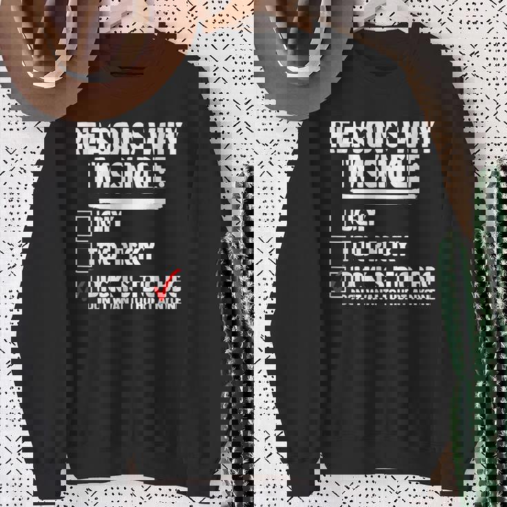 Bachelor メンズ シャツ Rasons Why I'mingle Big Dick Fun スウェットシャツ 年配の女性への贈り物