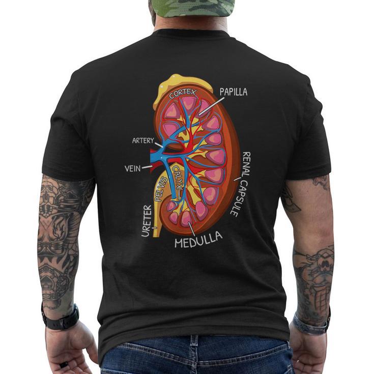腎臓の解剖学 腎臓学 メンズTシャツ バックプリント