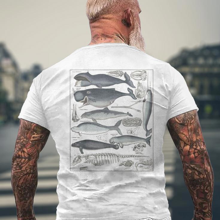 ヴィンテージ クジラ イラスト 生物学 科学 海 メンズTシャツ バックプリント 高齢者への贈り物