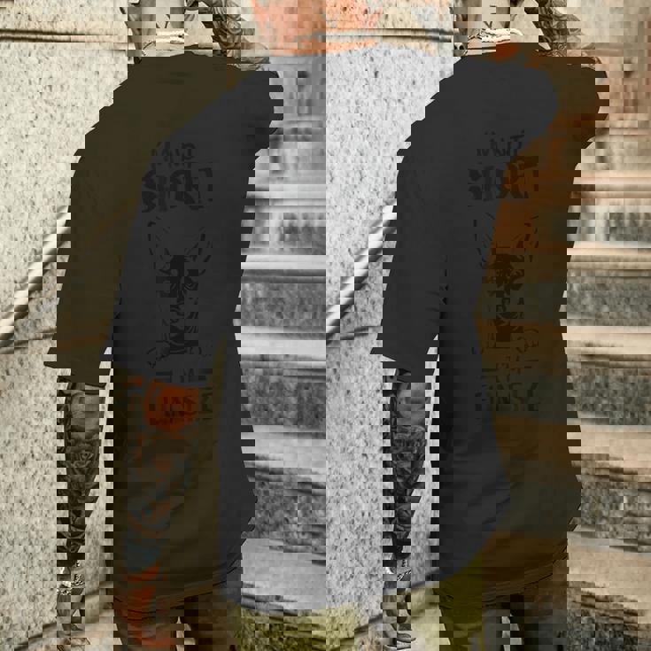 ミニピン、短くはない、楽しいサイズのミニチュアピンシャーのお父さん メンズTシャツ バックプリント 彼への贈り物