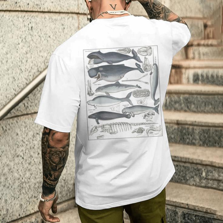 ヴィンテージ クジラ イラスト 生物学 科学 海 メンズTシャツ バックプリント 彼への贈り物