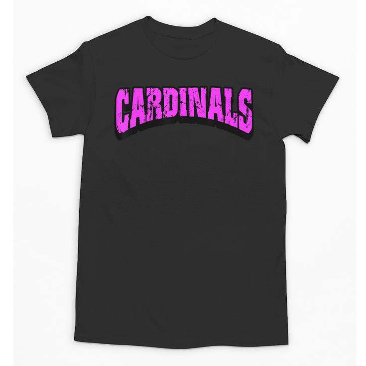 Cardinals Back To School Spirit Pk Unisex T-Shirt