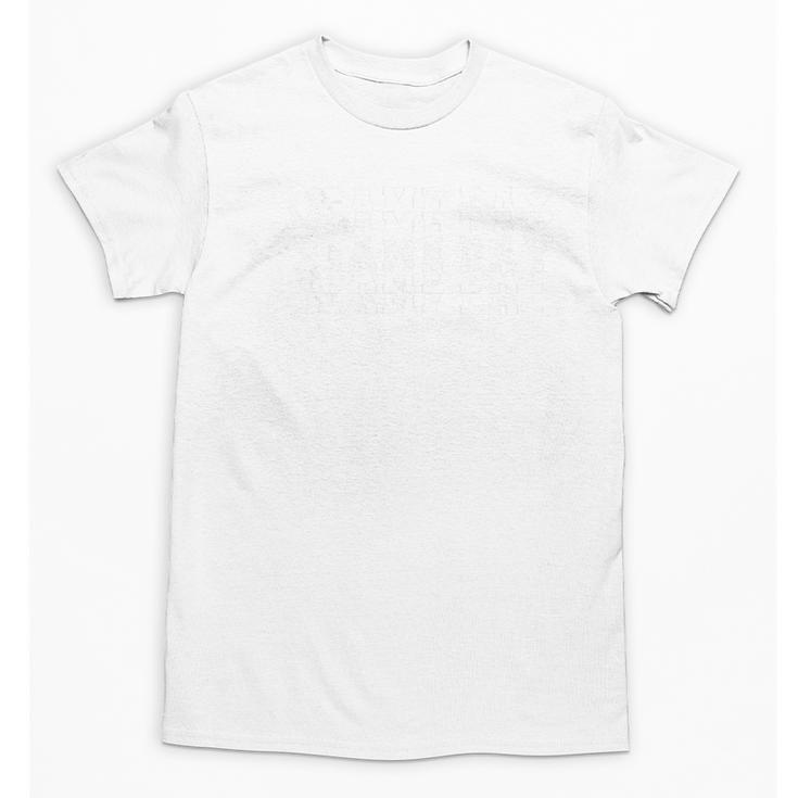 Baseball Pitcher Game Day Team Sport Player Coach Family Fan Premium Tri-Blend Unisex T-Shirt