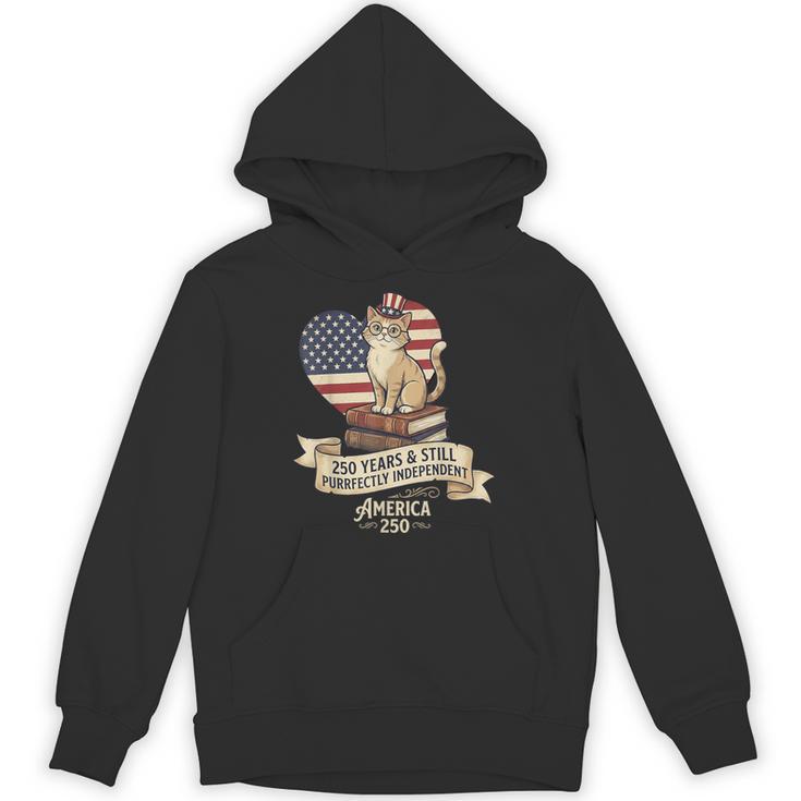 250 Anniversary USA Shirt Book Cute Cat 4th Of July Unisex Hoodie