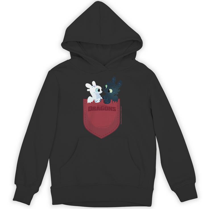 Dreamworks Dragons Light Fury & Night Fury Faux Pocket パーカー