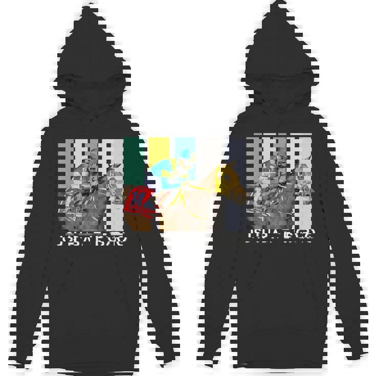 ウシュバテソロ 馬 競馬ファン デルマール サンタアニタ パーカー