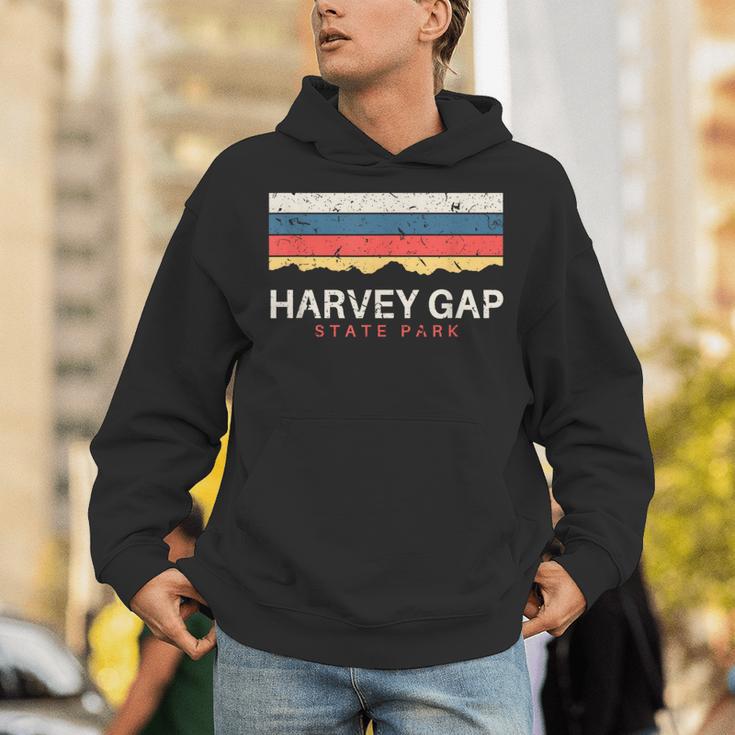 Harvey Gaptate Park コロラドレトロ Co パーカー