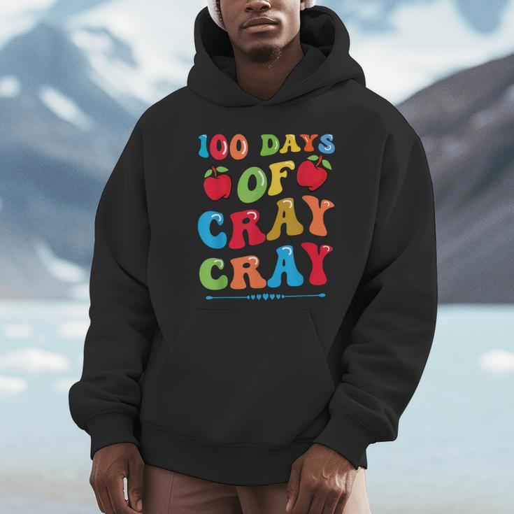 100 Days Of Cray Cray Apples And Books Unisex Hoodie