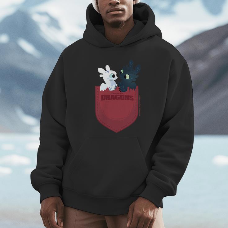 Dreamworks Dragons Light Fury & Night Fury Faux Pocket パーカー