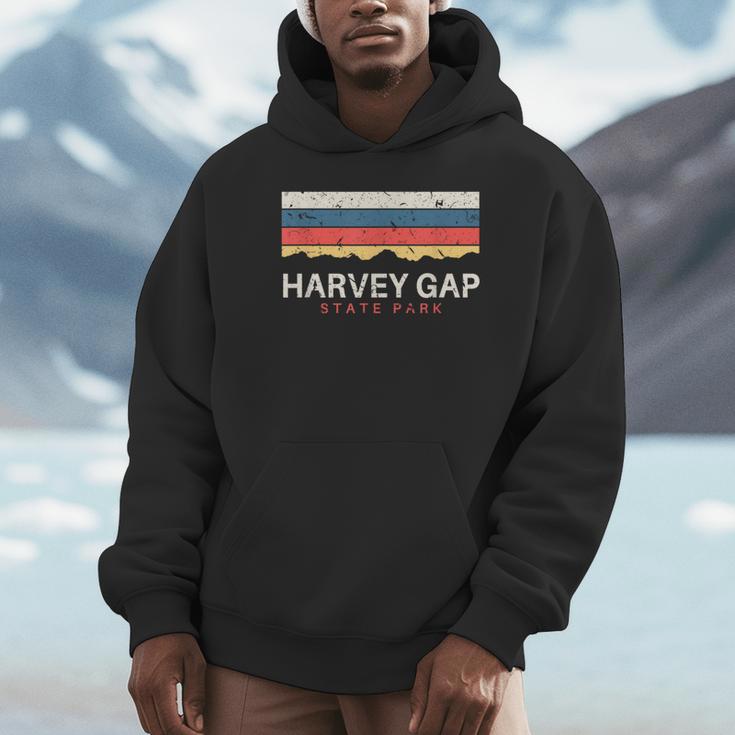 Harvey Gaptate Park コロラドレトロ Co パーカー