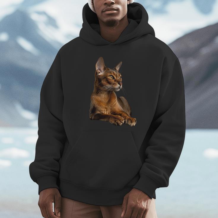 アビシニアン猫 長袖tシャツ パーカー