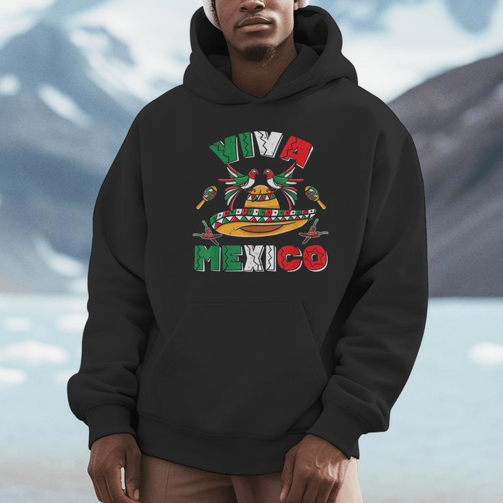 ビバメキシコ シンコデマヨ メキシカンプライド パーカー