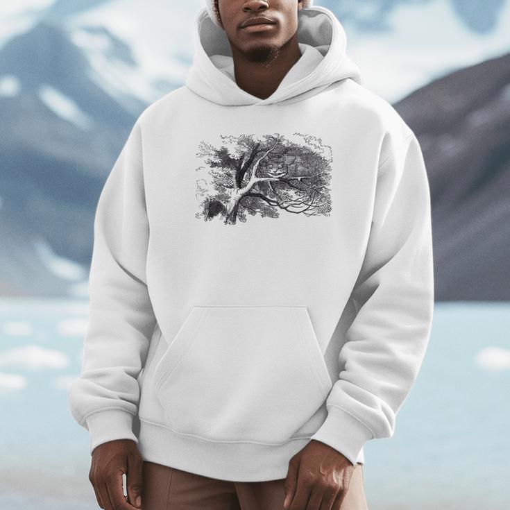 Cheshire Cat Alice In Wonderland Classic Book Premium Tri-Blend Unisex Hoodie