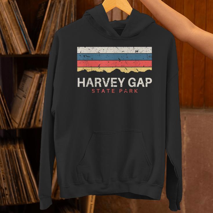 Harvey Gaptate Park コロラドレトロ Co パーカー