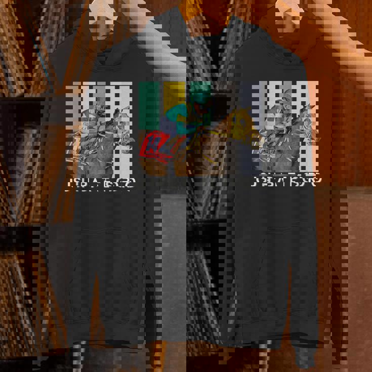 ウシュバテソロ 馬 競馬ファン デルマール サンタアニタ パーカー