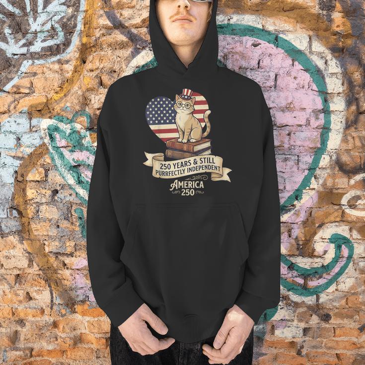 250 Anniversary USA Shirt Book Cute Cat 4th Of July Men Hoodie 250 Anniversary USA Shirt Book Cute Cat 4th Of July Men Hoodie