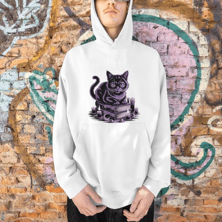I'm An Indoor Cat Cute Witch Kitten With Books And Candles Men Hoodie