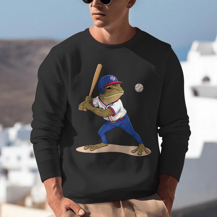 Baseball Puerto Rico Patriotic Flag Boricua Baseball Player Unisex Sweatshirt Baseball Puerto Rico Patriotic Flag Boricua Baseball Player Unisex Sweatshirt