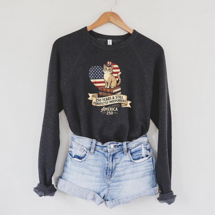 250 Anniversary USA Shirt Book Cute Cat 4th Of July Raglan Sleeve Sweatshirt