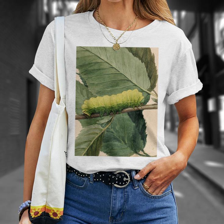 月の毛虫、ビンテージ昆虫画、ルナの幼虫 M Tシャツ 彼女への贈り物