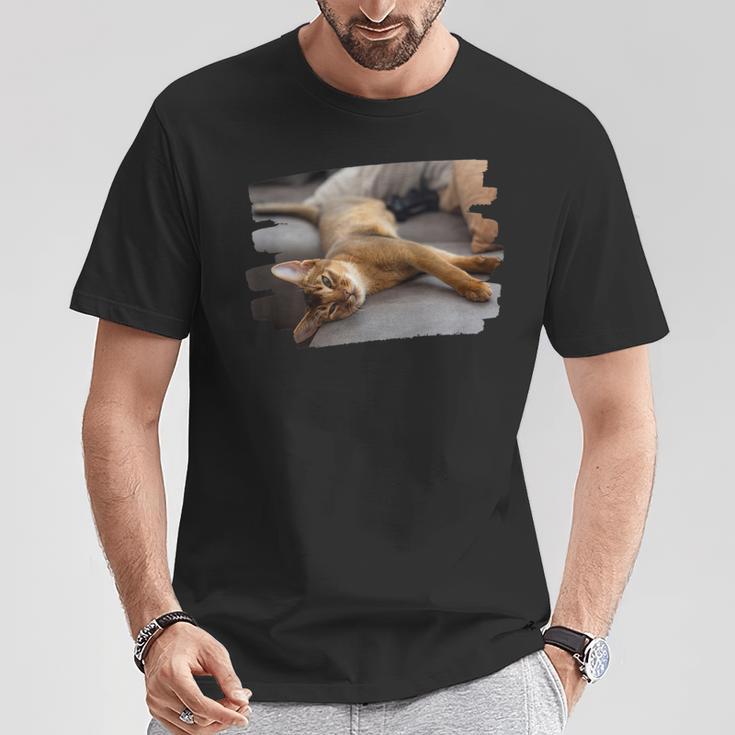 アビシニアン・フェリス・カタス Tシャツ 面白い贈り物