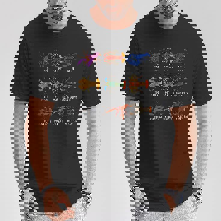 異なるタイプのロブスター種チャート海洋生物学 Tシャツ 面白い贈り物