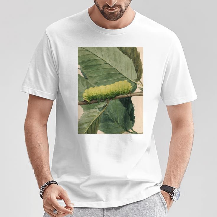 月の毛虫、ビンテージ昆虫画、ルナの幼虫 M Tシャツ 面白い贈り物