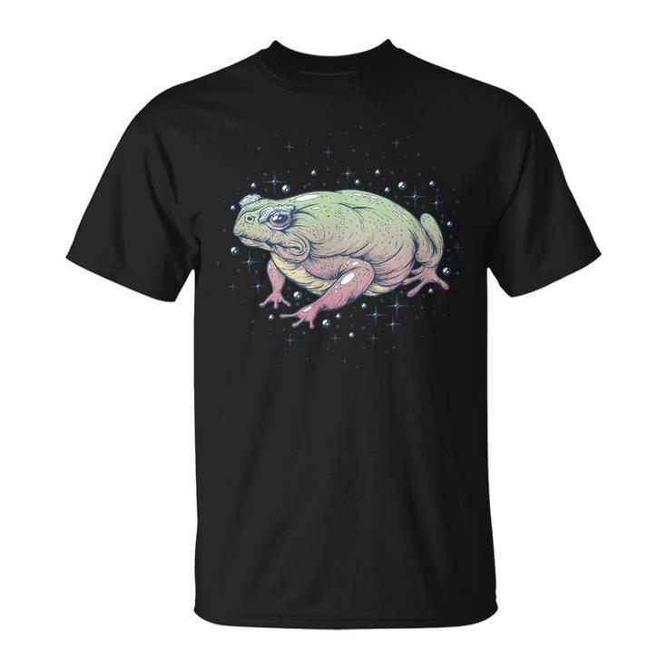 Fae Fairy Witchy Whimsigoth Goblincore Cottagecore Toad Frog Tシャツ