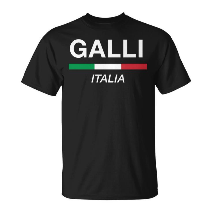 Galli イタリア製 ファミリーネーム イタリア 国旗 長袖tシャツ Tシャツ
