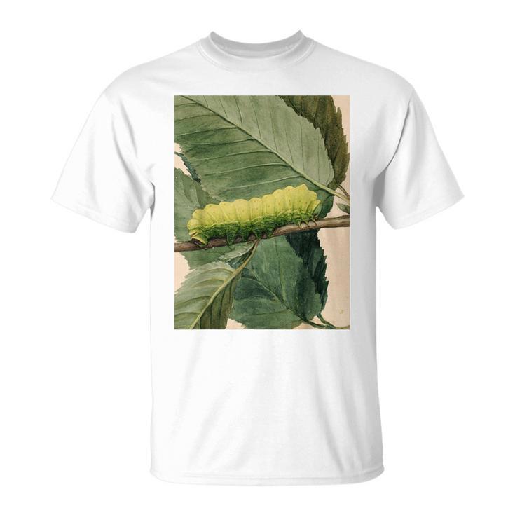 月の毛虫、ビンテージ昆虫画、ルナの幼虫 M Tシャツ