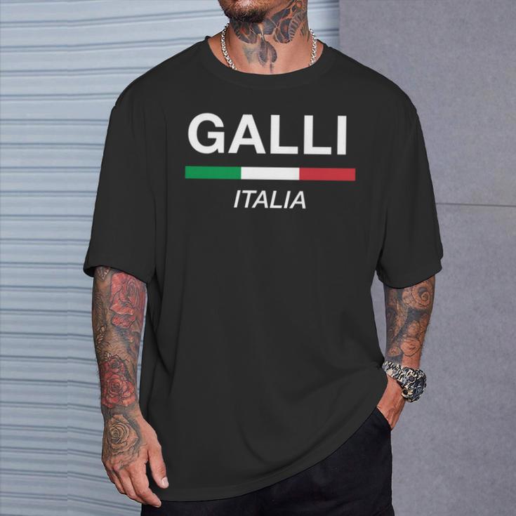 Galli イタリア製 ファミリーネーム イタリア 国旗 長袖tシャツ Tシャツ 彼への贈り物