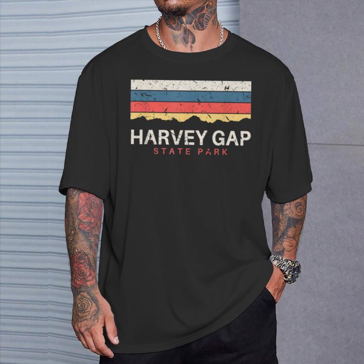 Harvey Gaptate Park コロラドレトロ Co Tシャツ 彼への贈り物